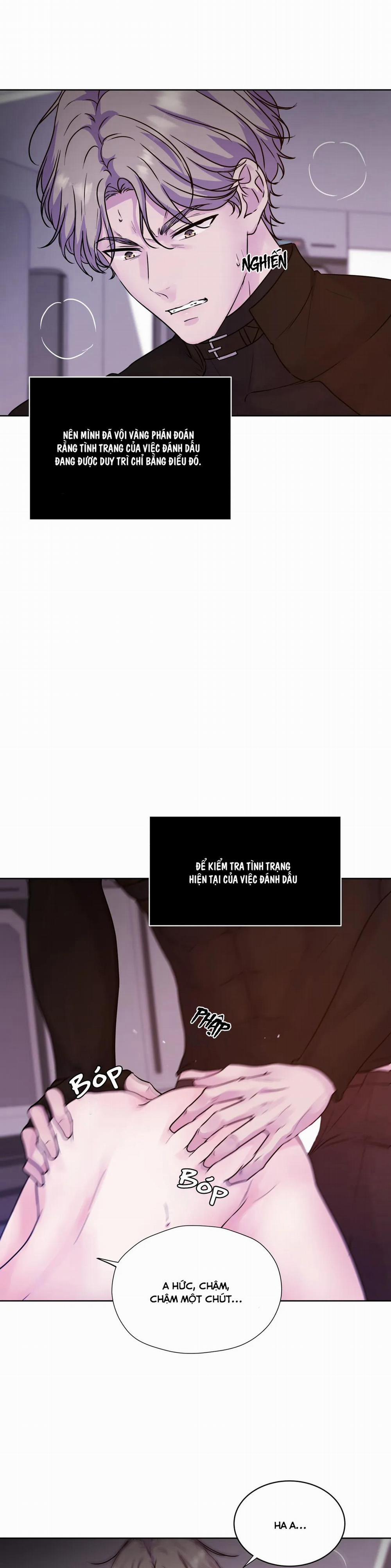 Hừng Đông 11 trang 8