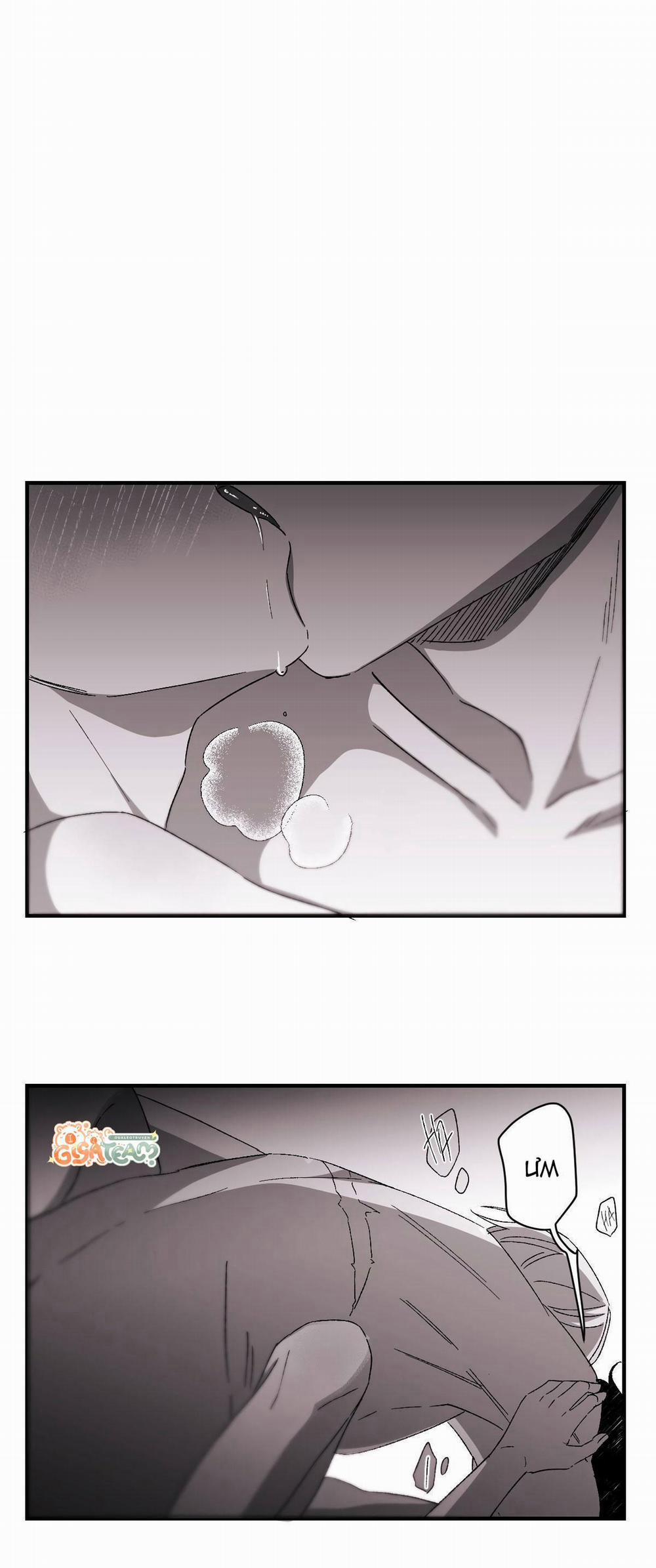 Hunting 16 X 647 10.5 Merry christmas trang 6