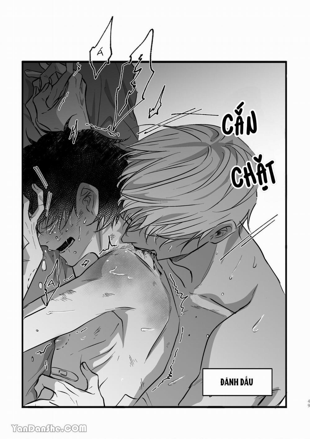 Hunting 16 X 647 16 ABO (H) trang 3