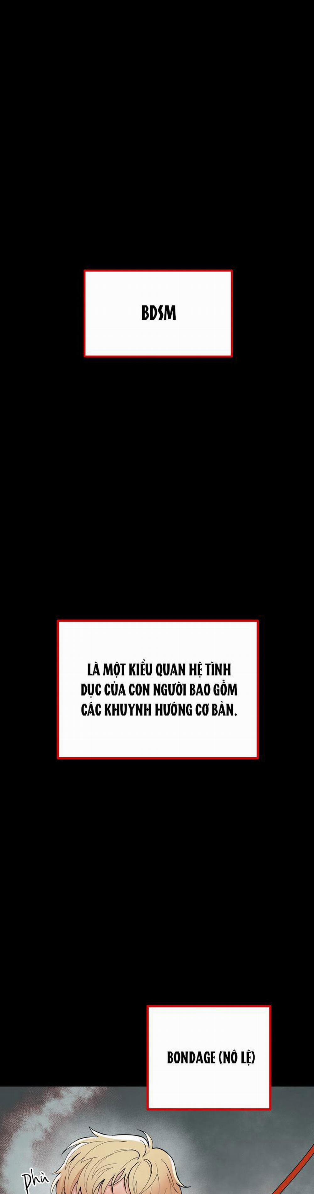 Hướng Dẫn Bdsm Cơ Bản 1 0 trang 0