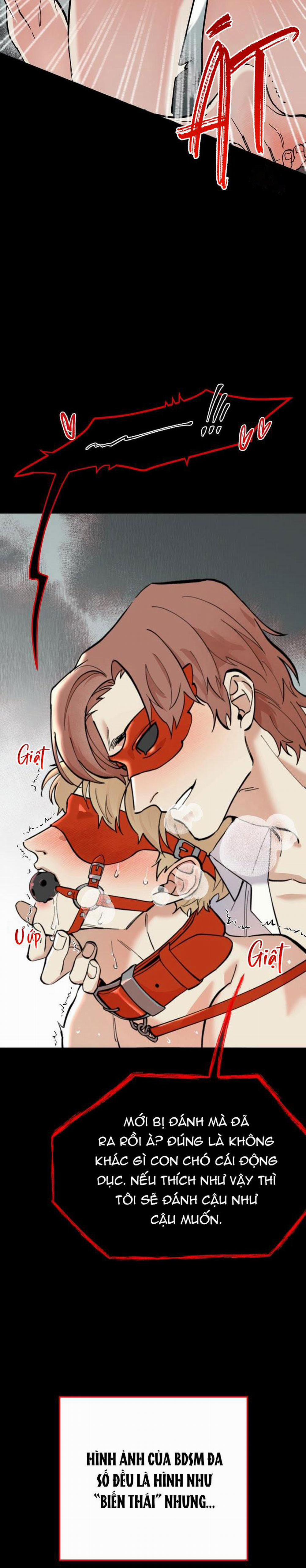 Hướng Dẫn Bdsm Cơ Bản 1 trang 3