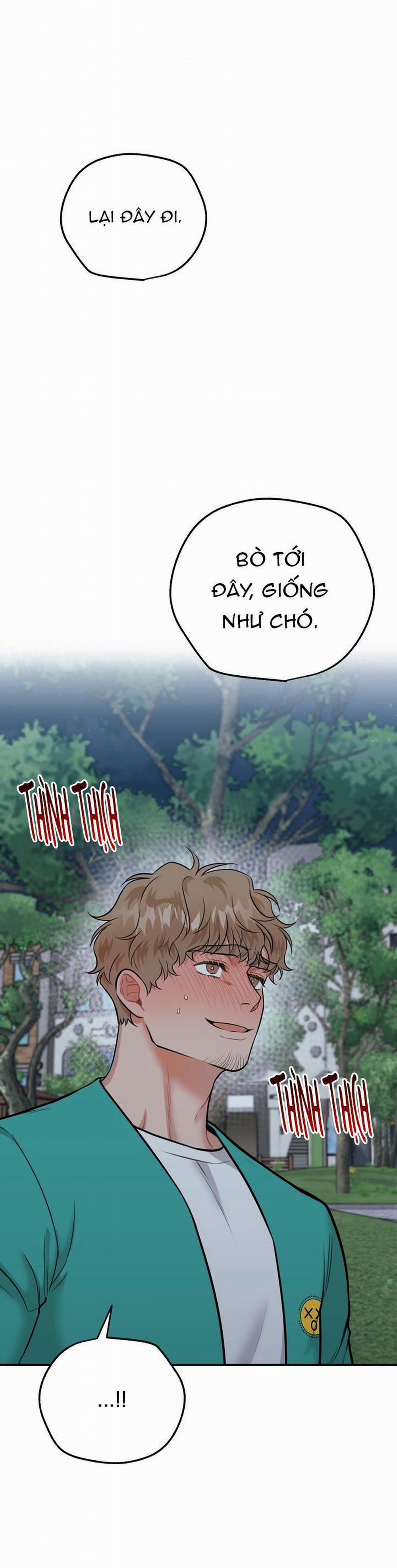 Hướng Dẫn Bdsm Cơ Bản 12 0 trang 0