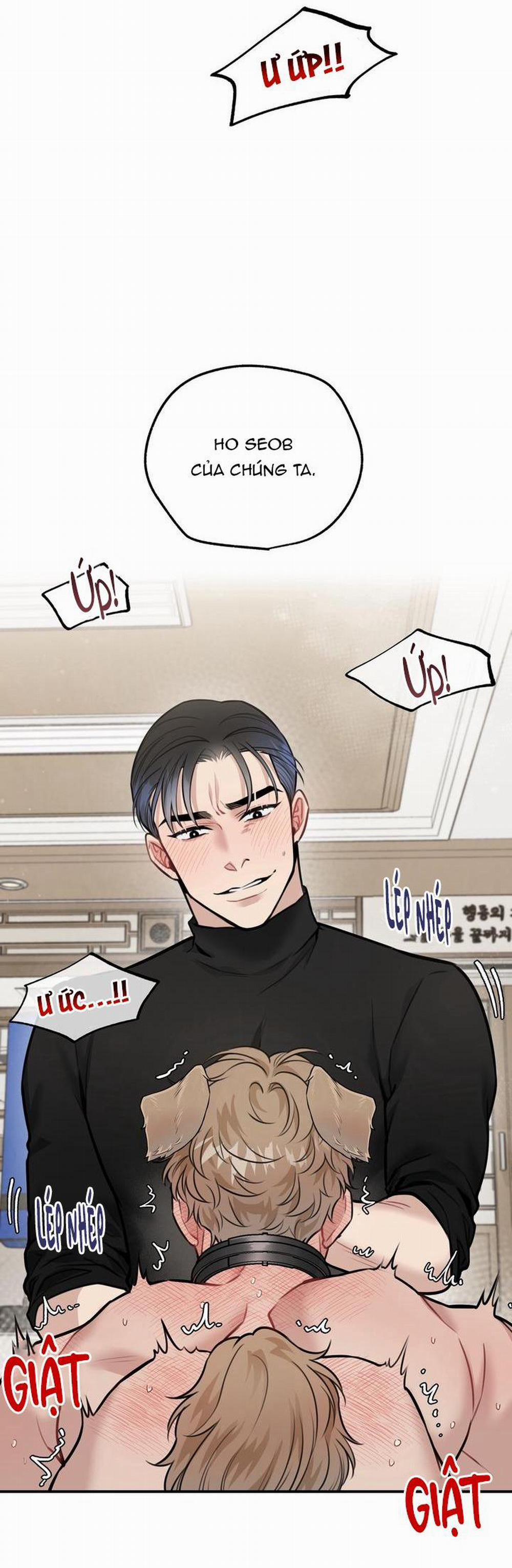 Hướng Dẫn Bdsm Cơ Bản 12 0 trang 39