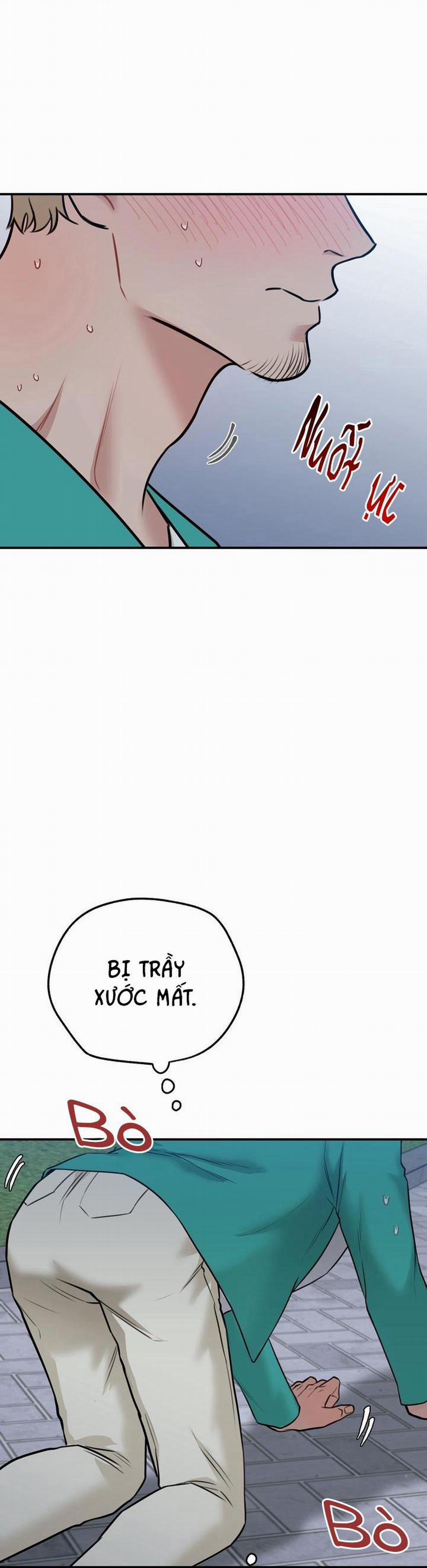 Hướng Dẫn Bdsm Cơ Bản 12 trang 2