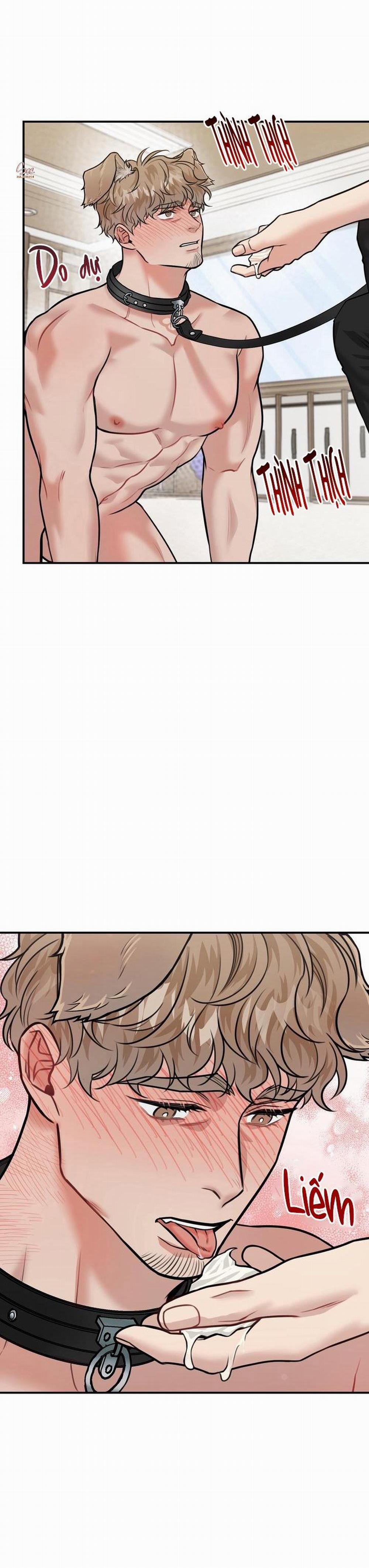 Hướng Dẫn Bdsm Cơ Bản 12 trang 37