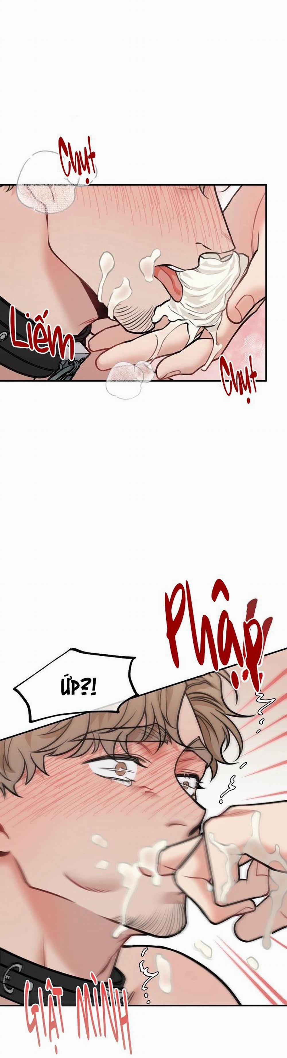 Hướng Dẫn Bdsm Cơ Bản 12 trang 38