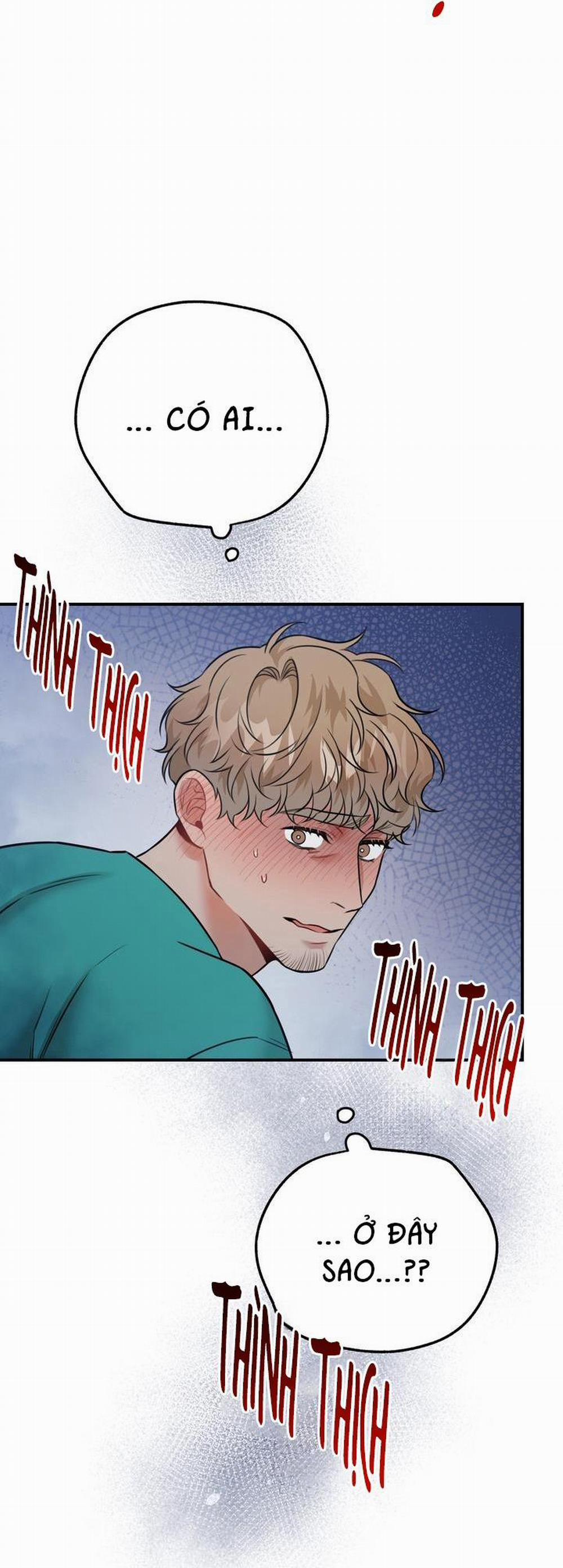 Hướng Dẫn Bdsm Cơ Bản 12 trang 4