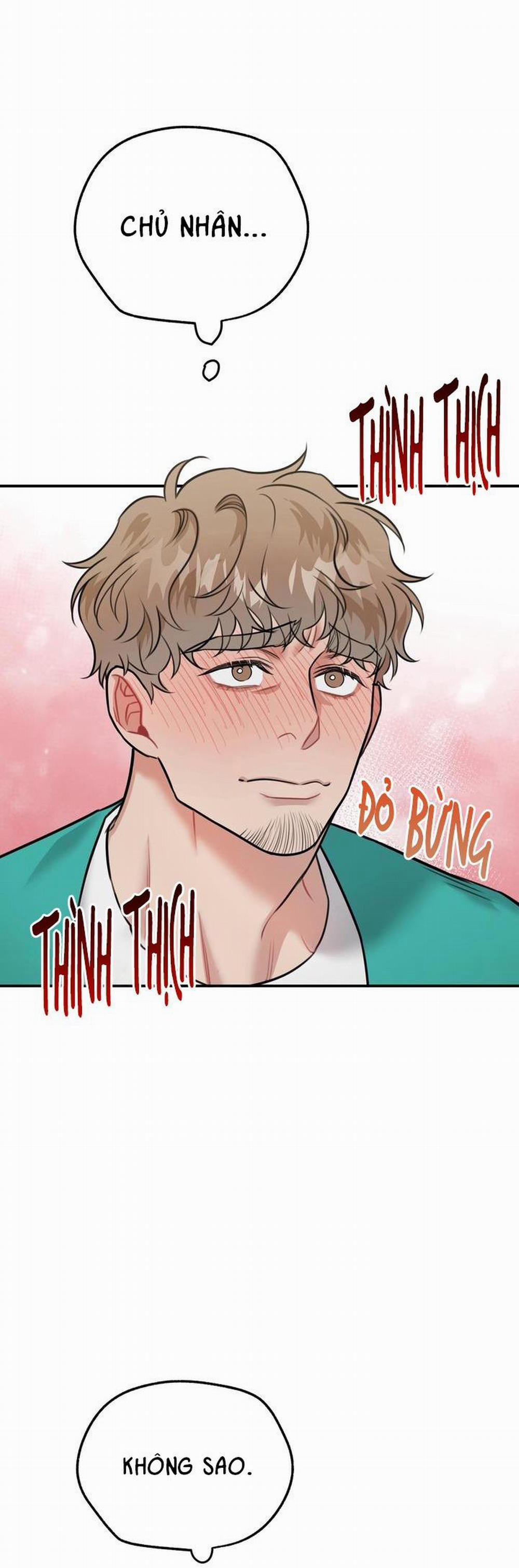 Hướng Dẫn Bdsm Cơ Bản 12 trang 8