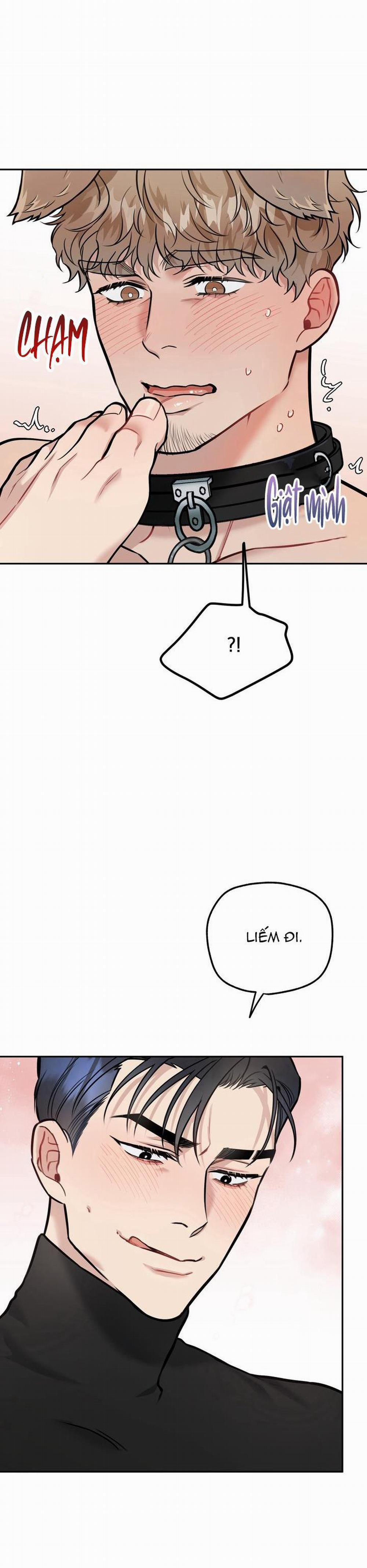 Hướng Dẫn Bdsm Cơ Bản 13 H+++ trang 11