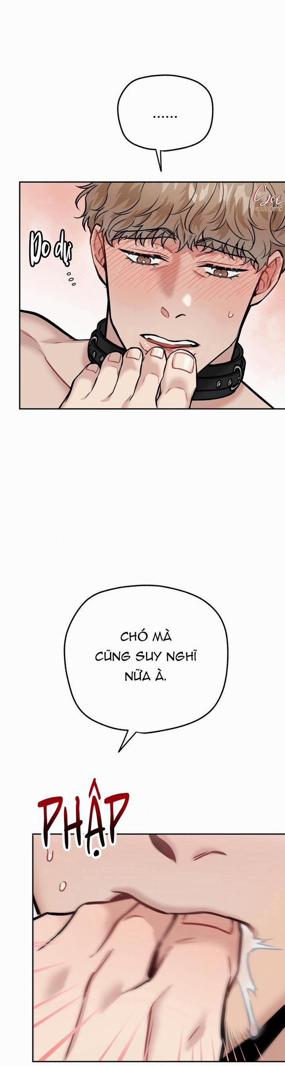 Hướng Dẫn Bdsm Cơ Bản 13 H+++ trang 12