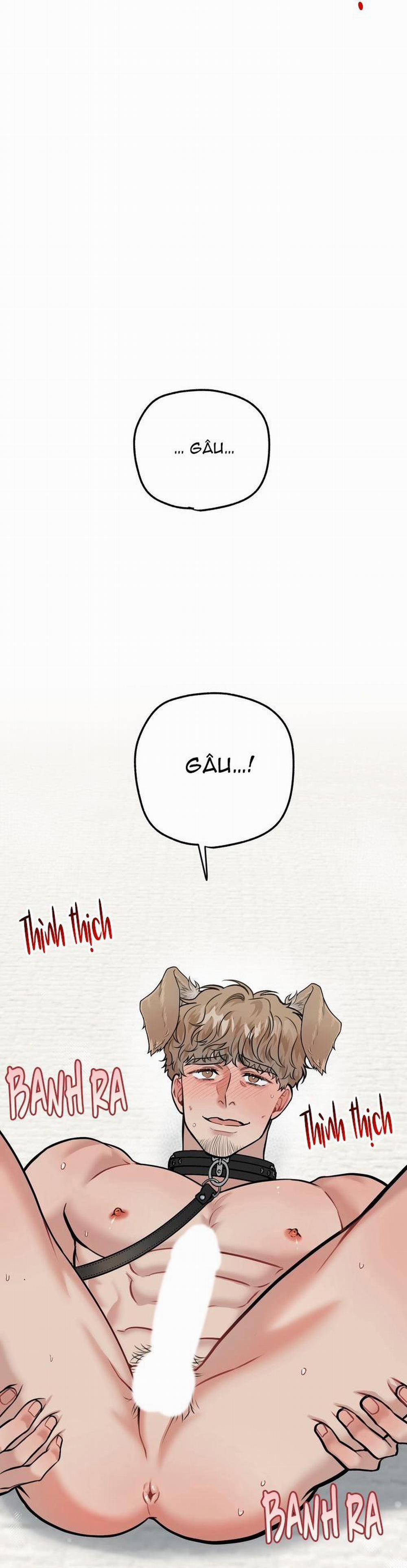 Hướng Dẫn Bdsm Cơ Bản 13 H+++ trang 17