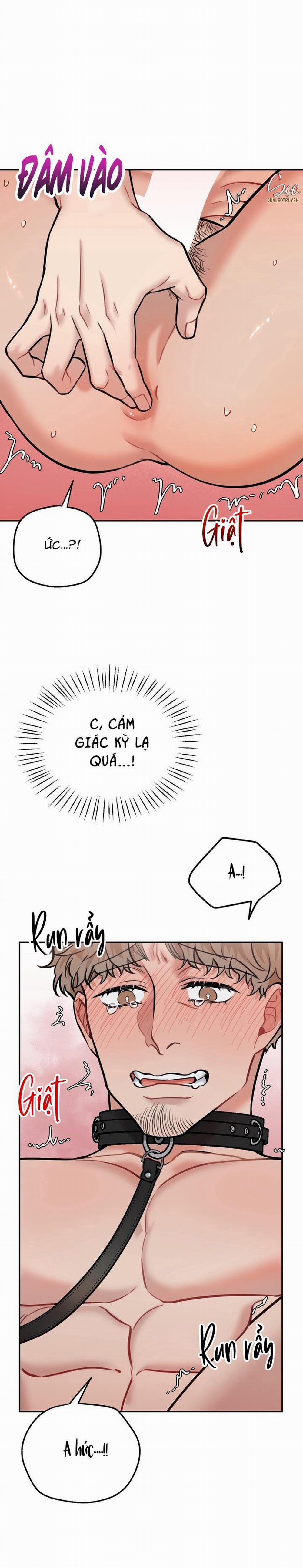 Hướng Dẫn Bdsm Cơ Bản 13 H+++ trang 19