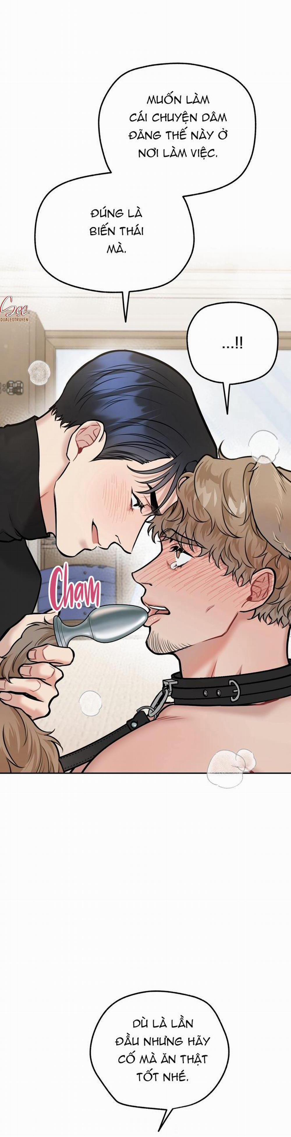 Hướng Dẫn Bdsm Cơ Bản 13 H+++ trang 20