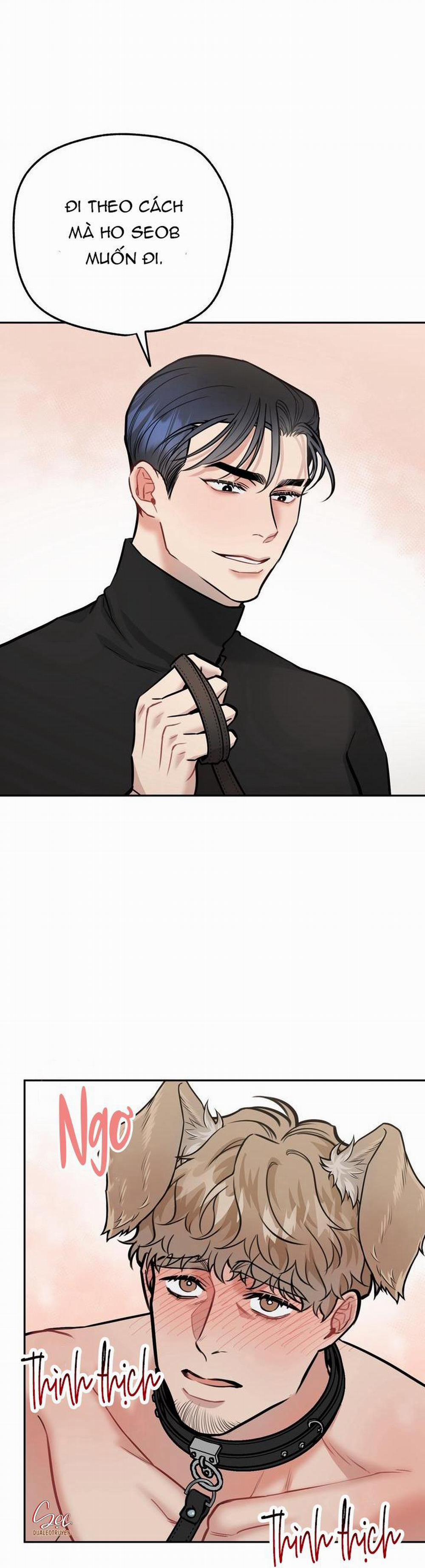 Hướng Dẫn Bdsm Cơ Bản 13 H+++ trang 28