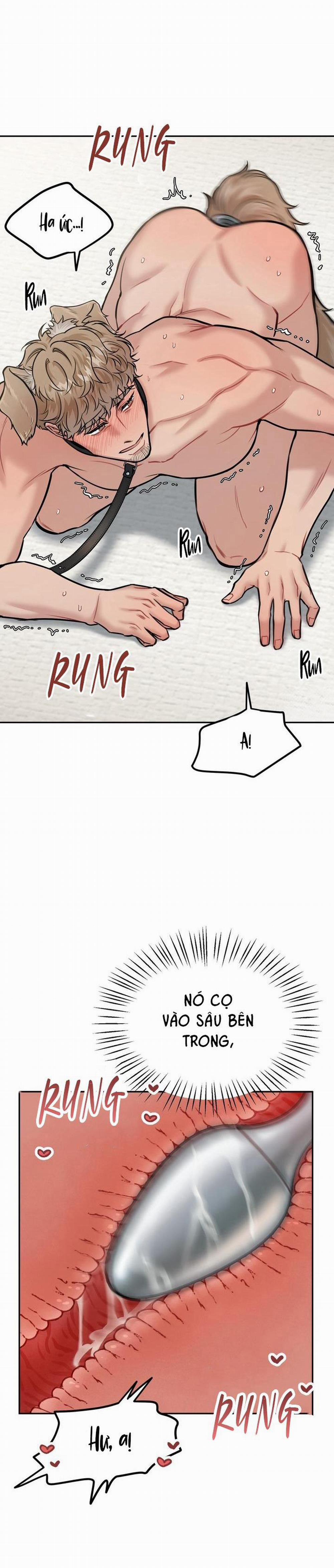 Hướng Dẫn Bdsm Cơ Bản 13 H+++ trang 31