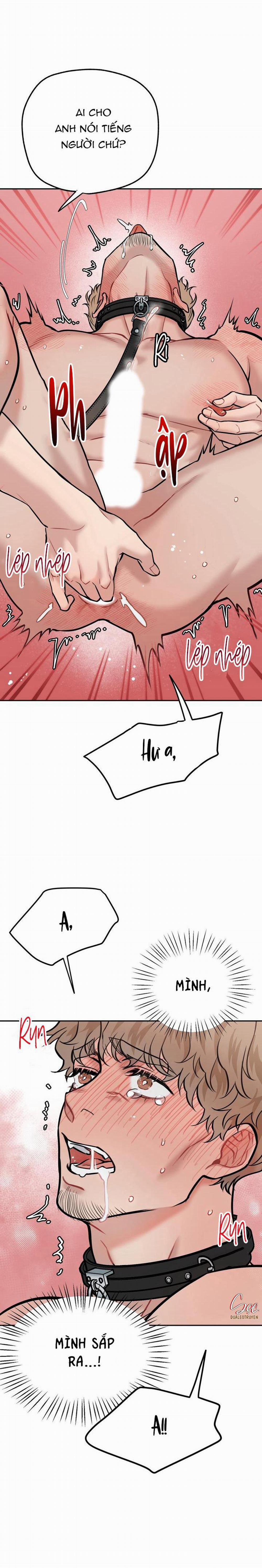 Hướng Dẫn Bdsm Cơ Bản 13 trang 22