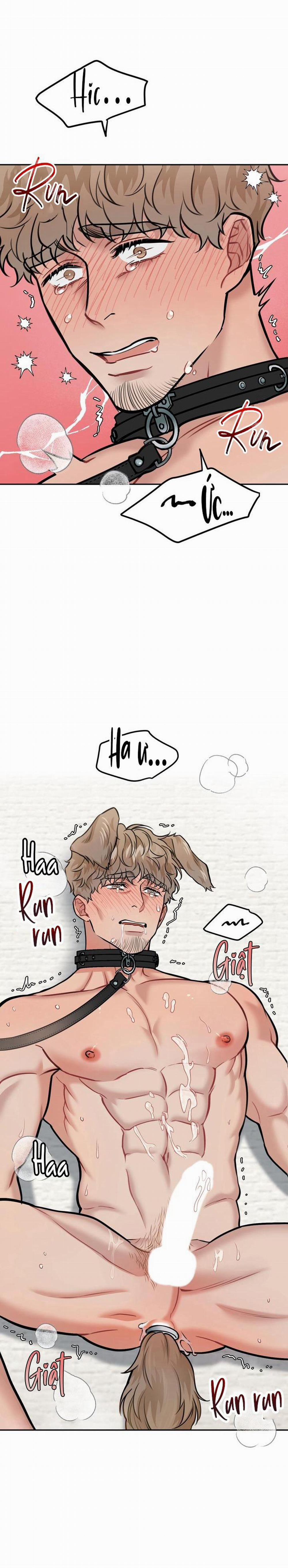 Hướng Dẫn Bdsm Cơ Bản 13 trang 24