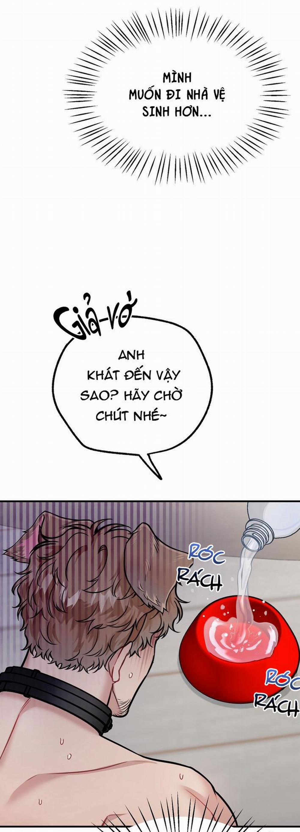 Hướng Dẫn Bdsm Cơ Bản 14 H+++ trang 10