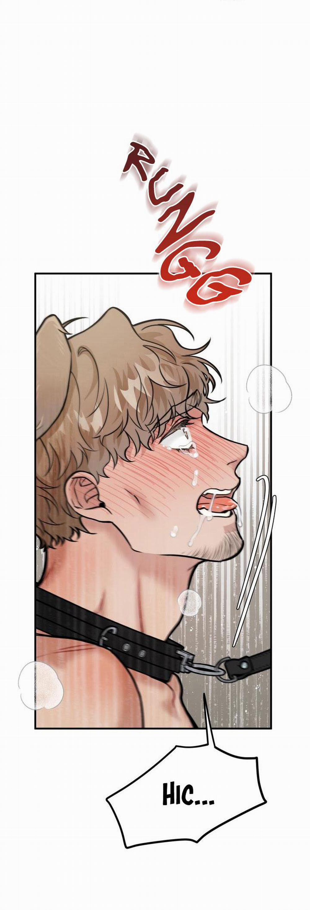 Hướng Dẫn Bdsm Cơ Bản 14 H+++ trang 13