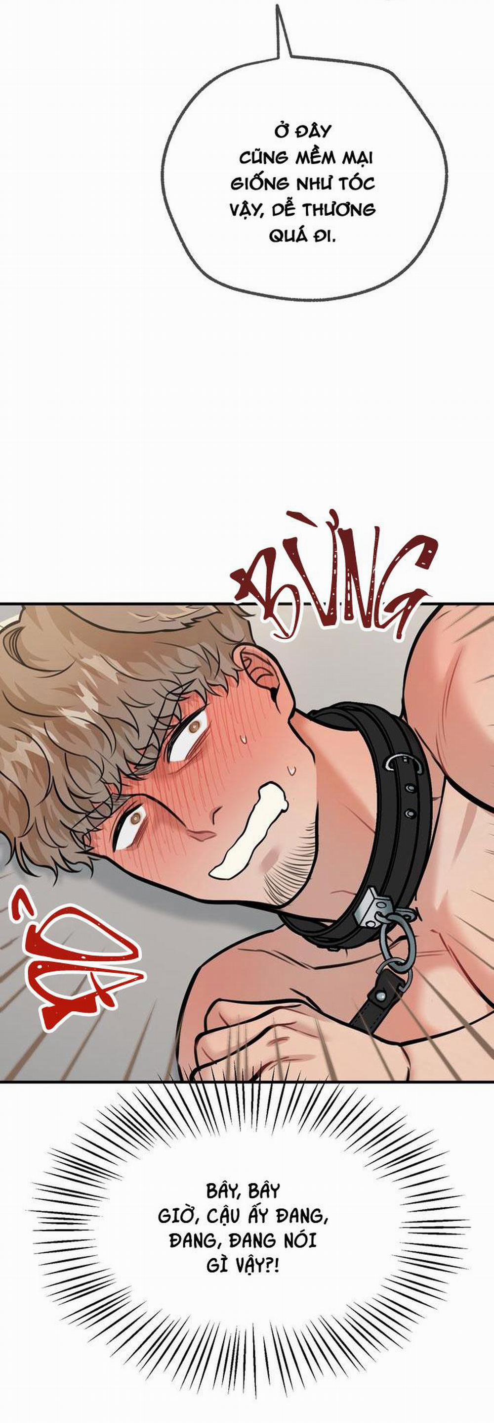 Hướng Dẫn Bdsm Cơ Bản 14 H+++ trang 20