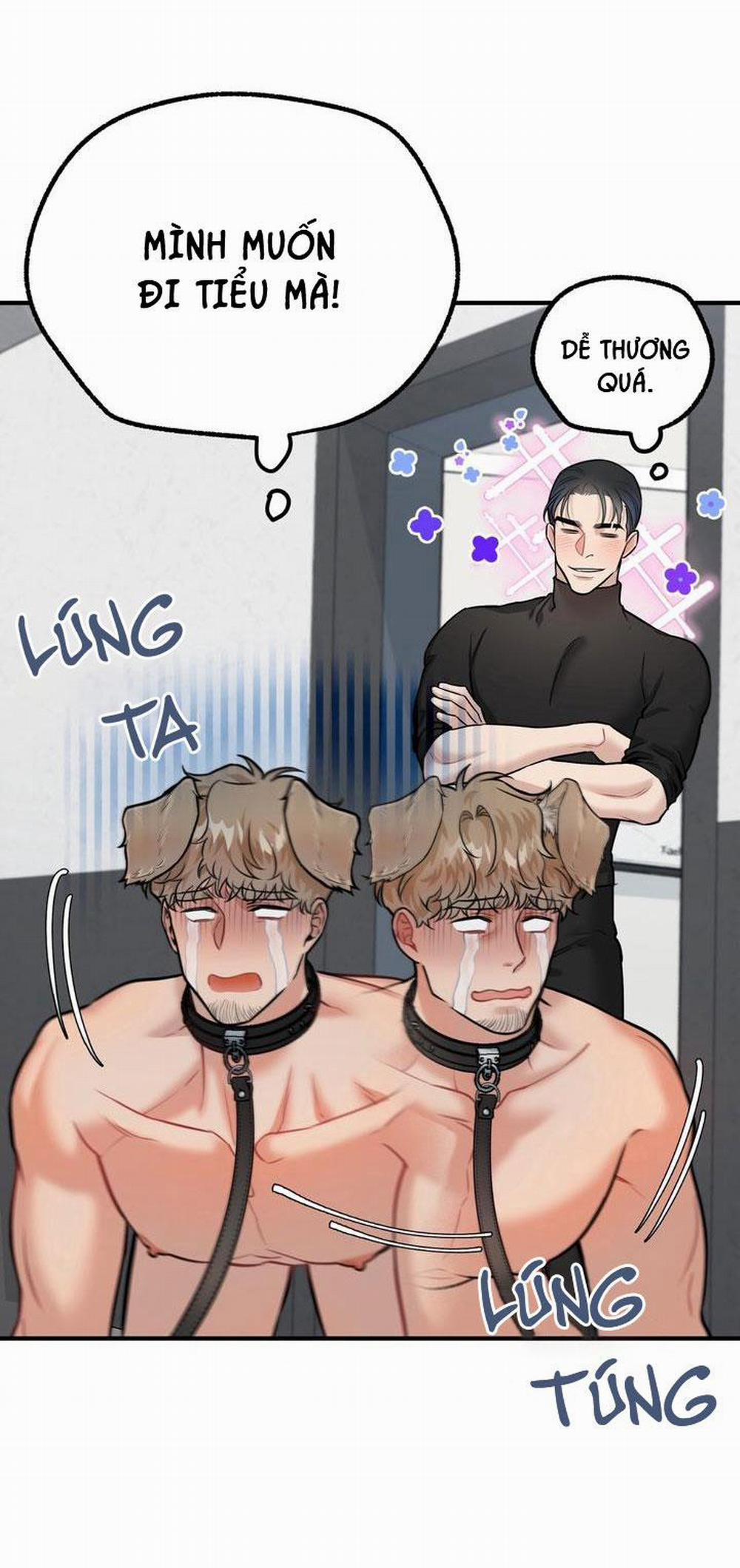 Hướng Dẫn Bdsm Cơ Bản 14 H+++ trang 43