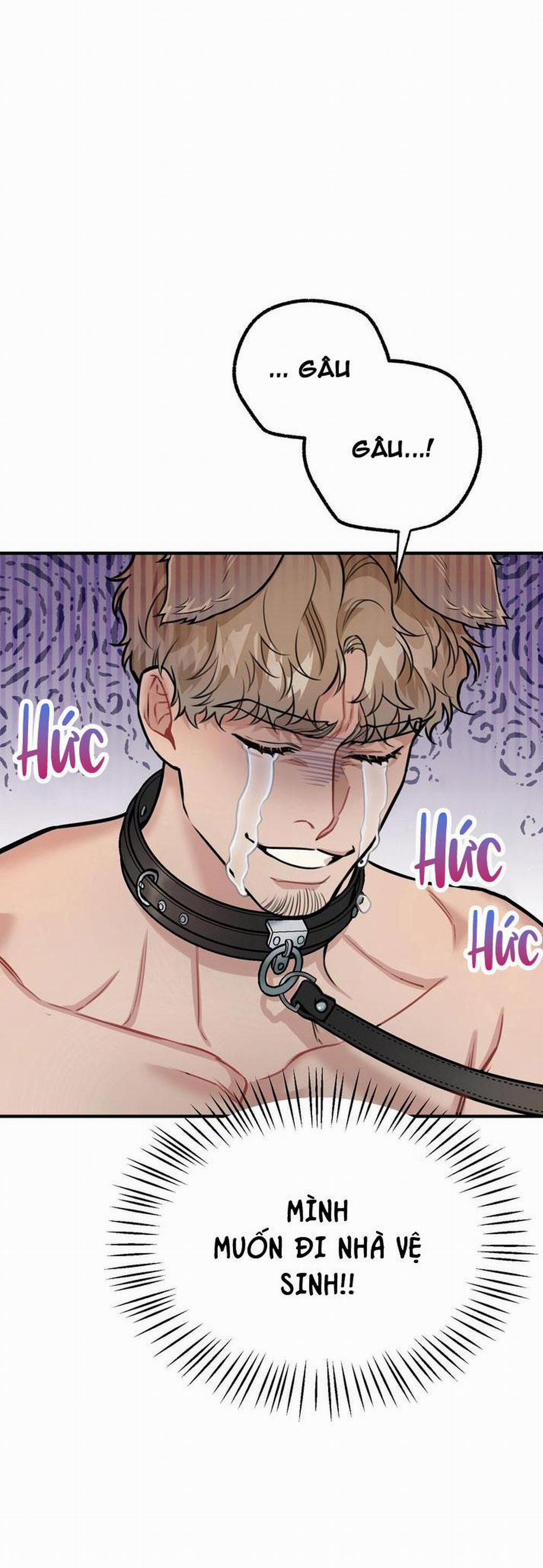 Hướng Dẫn Bdsm Cơ Bản 14 H+++ trang 5