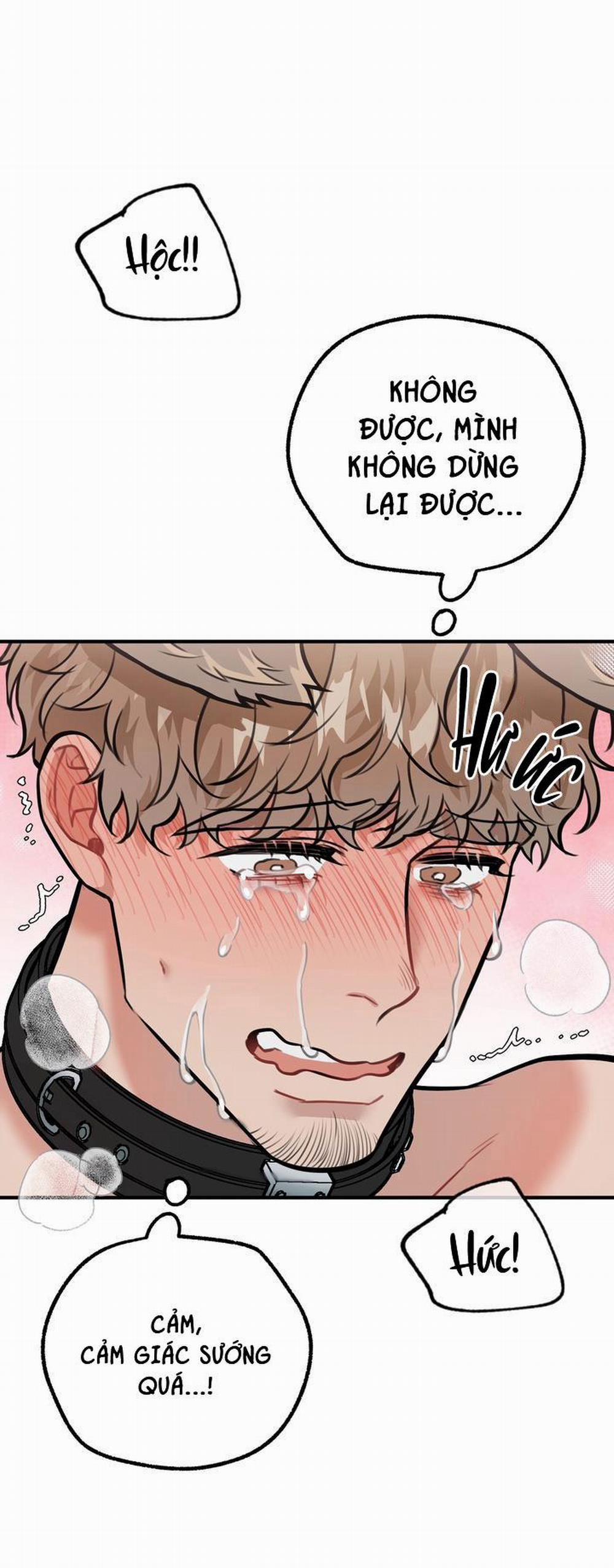 Hướng Dẫn Bdsm Cơ Bản 14 H+++ trang 64