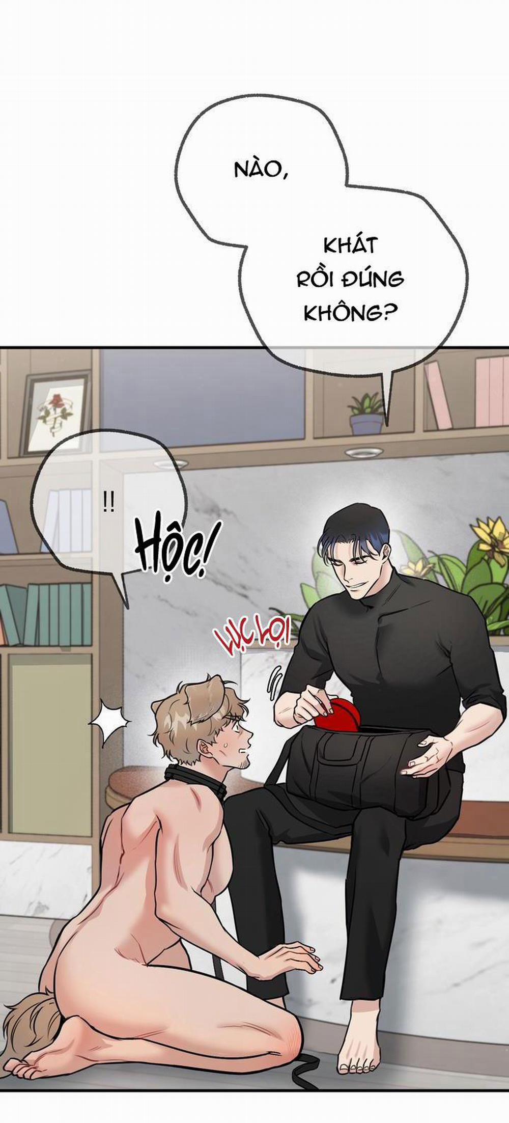 Hướng Dẫn Bdsm Cơ Bản 14 H+++ trang 8