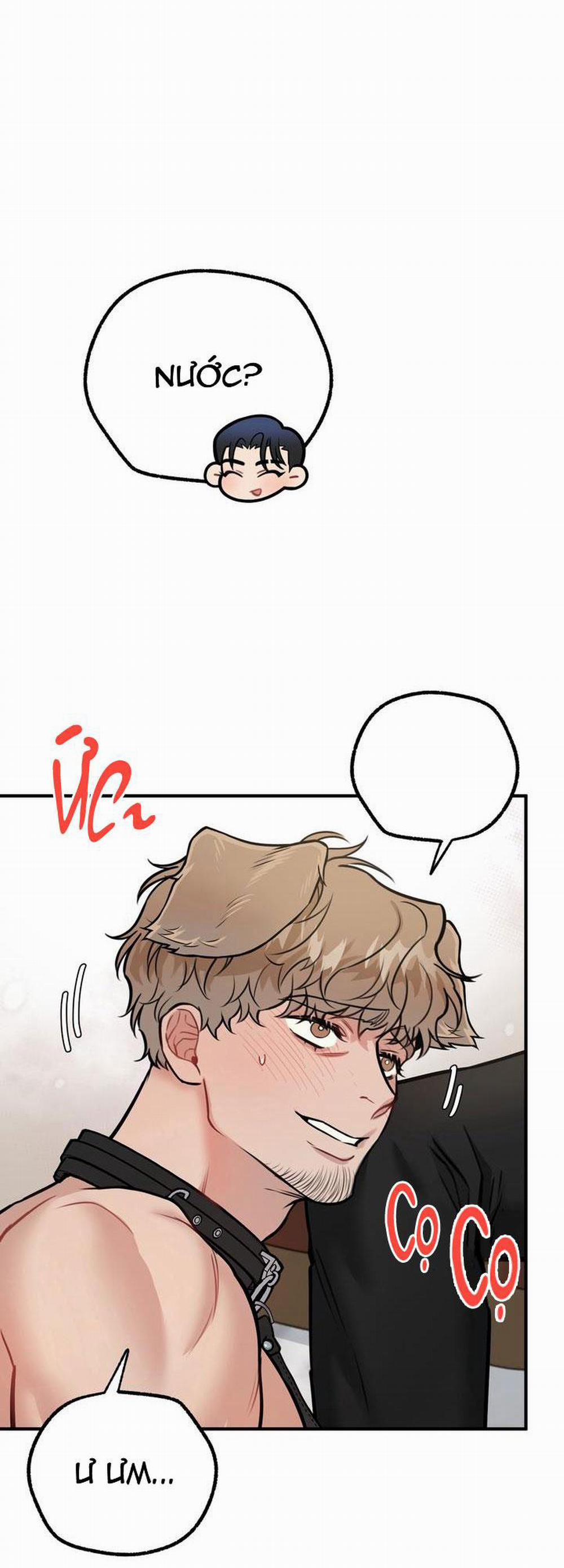 Hướng Dẫn Bdsm Cơ Bản 14 H+++ trang 9