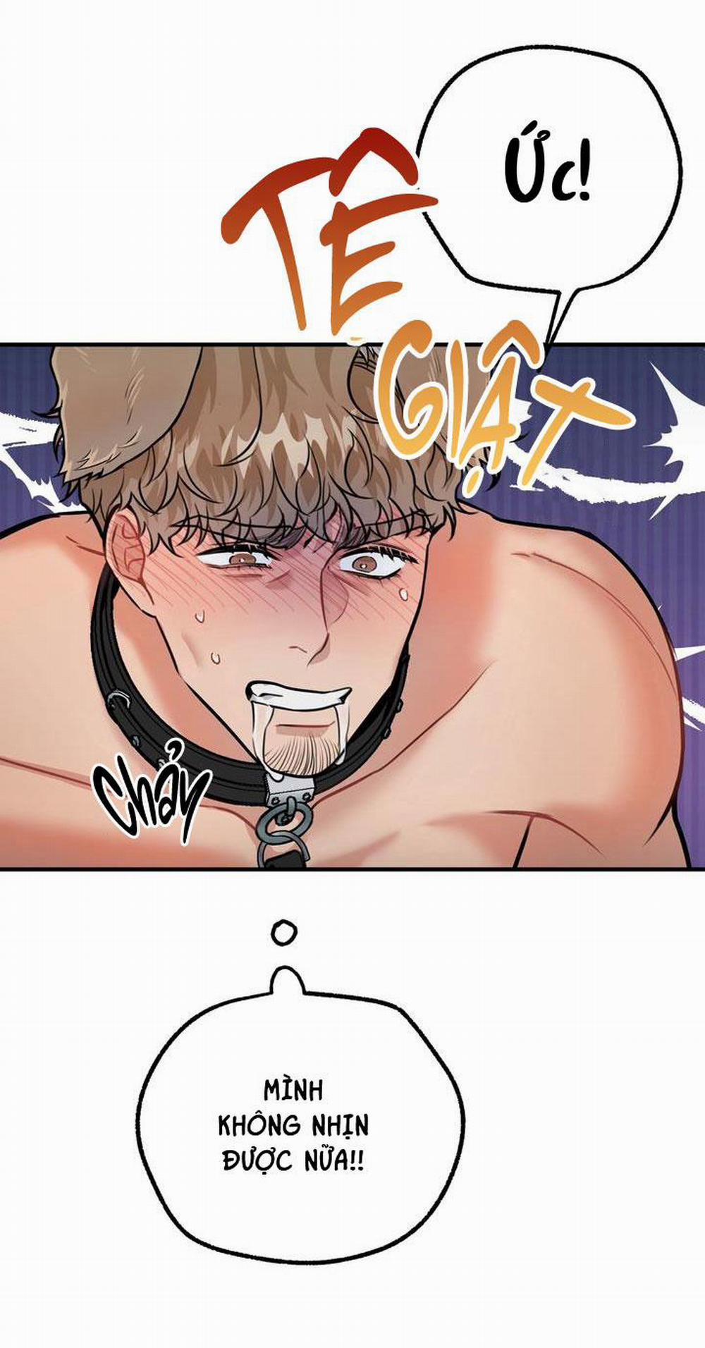 Hướng Dẫn Bdsm Cơ Bản 14 trang 28