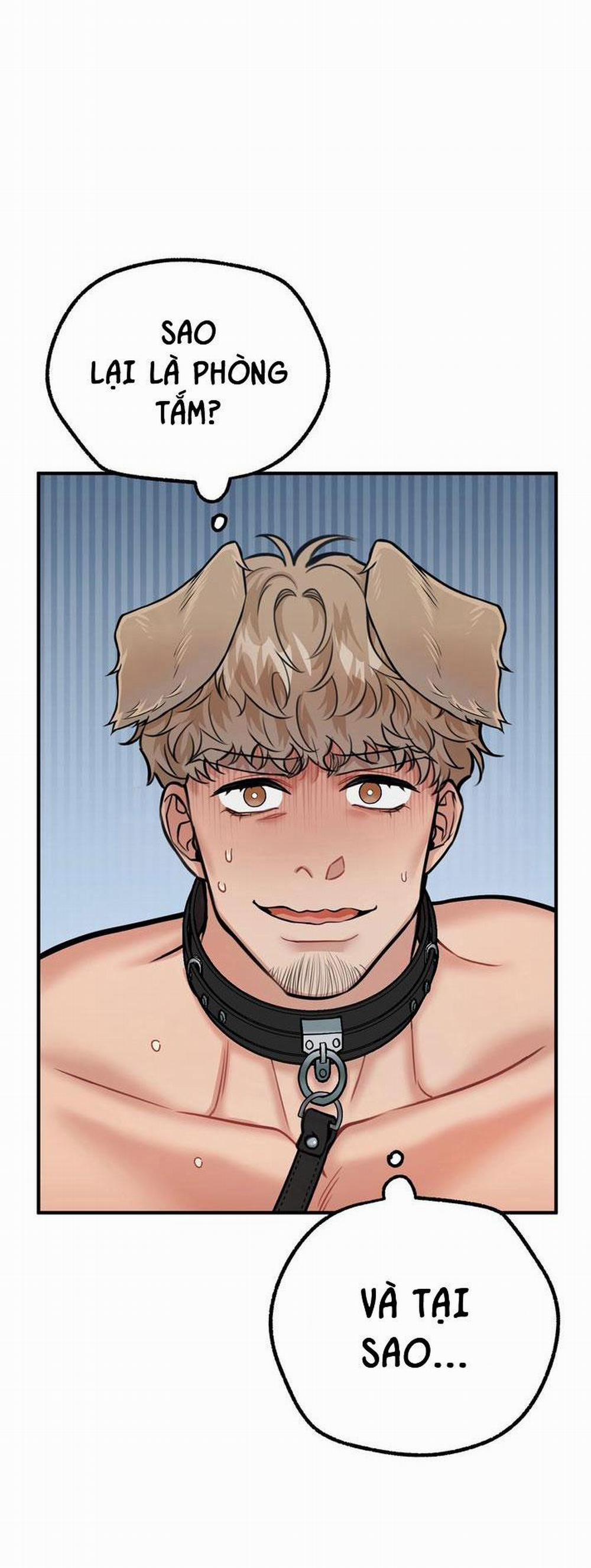 Hướng Dẫn Bdsm Cơ Bản 14 trang 41