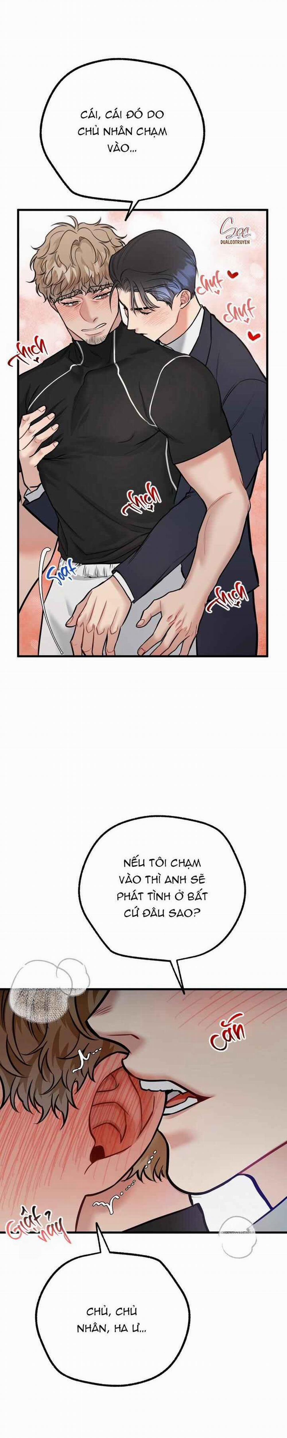 Hướng Dẫn Bdsm Cơ Bản 15 trang 18