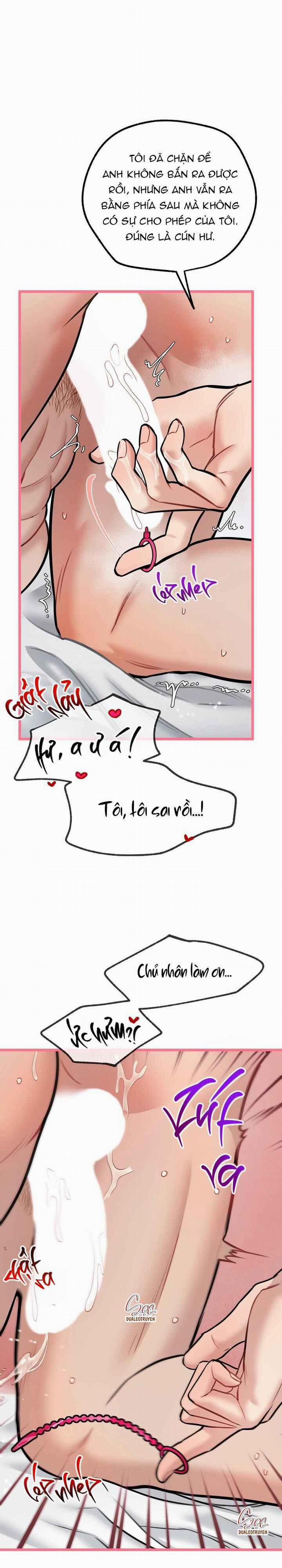 Hướng Dẫn Bdsm Cơ Bản 15 trang 2