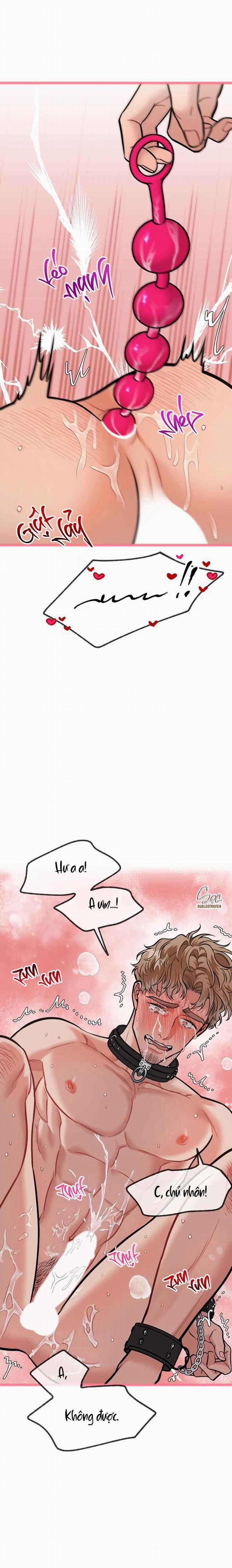 Hướng Dẫn Bdsm Cơ Bản 15 trang 4