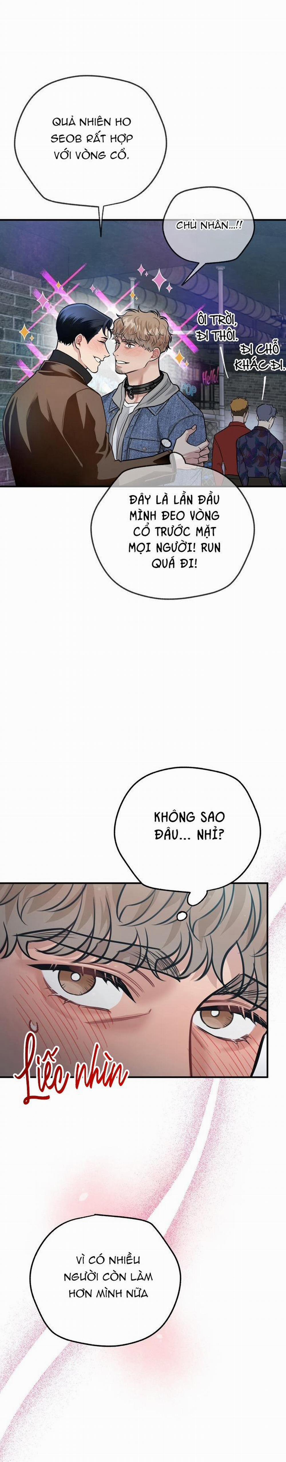 Hướng Dẫn Bdsm Cơ Bản 16 trang 8