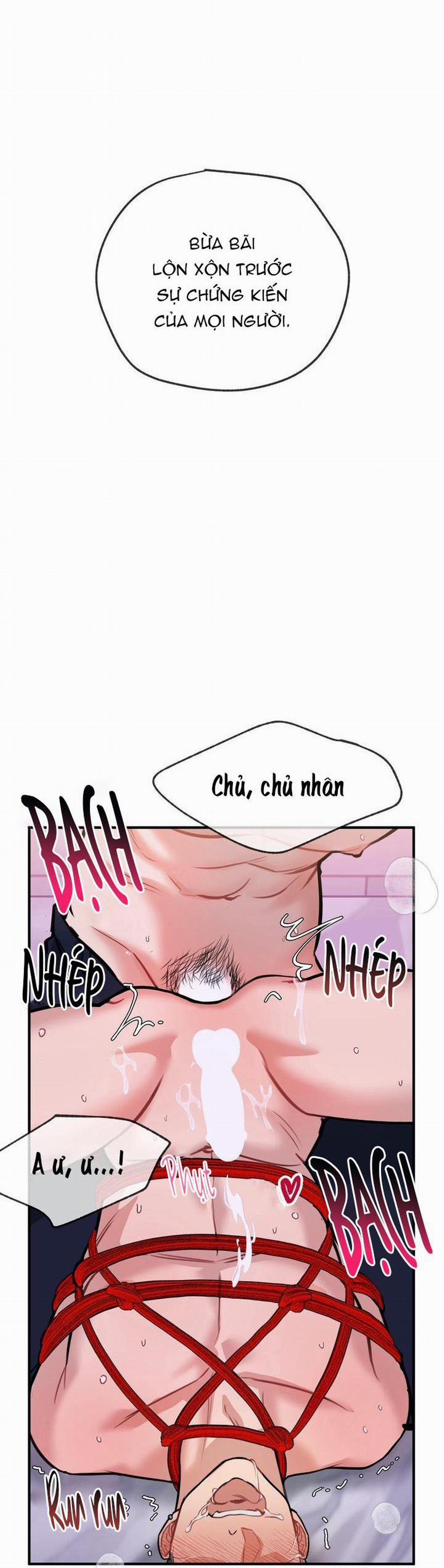 Hướng Dẫn Bdsm Cơ Bản 17 trang 10