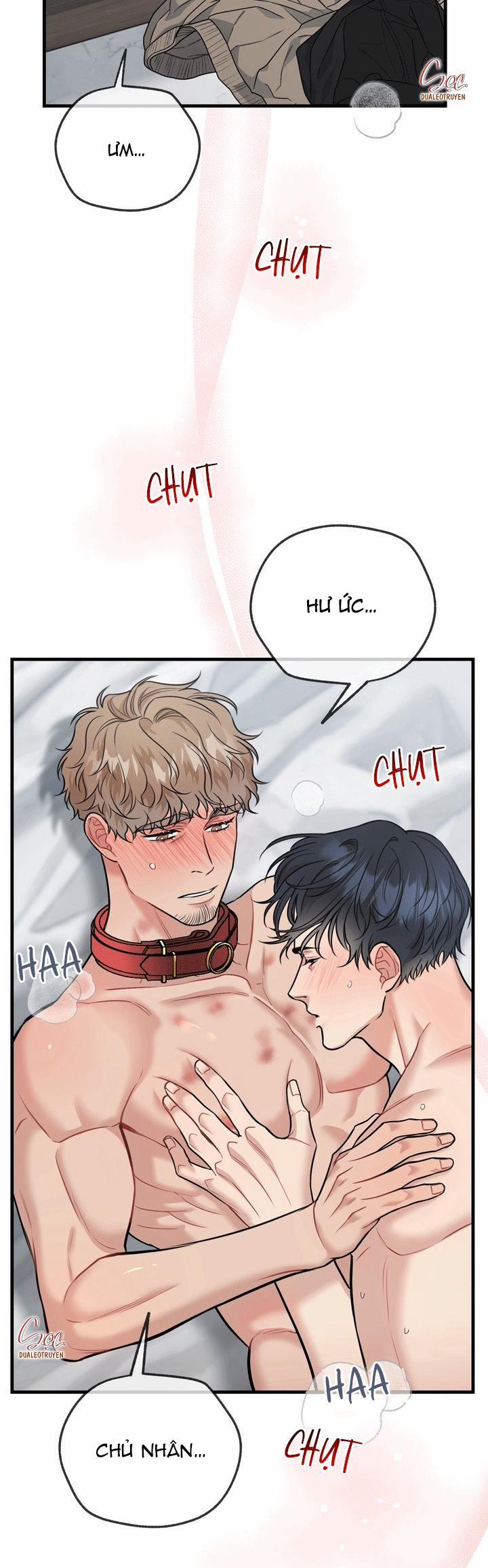 Hướng Dẫn Bdsm Cơ Bản 21 END SS1 trang 1