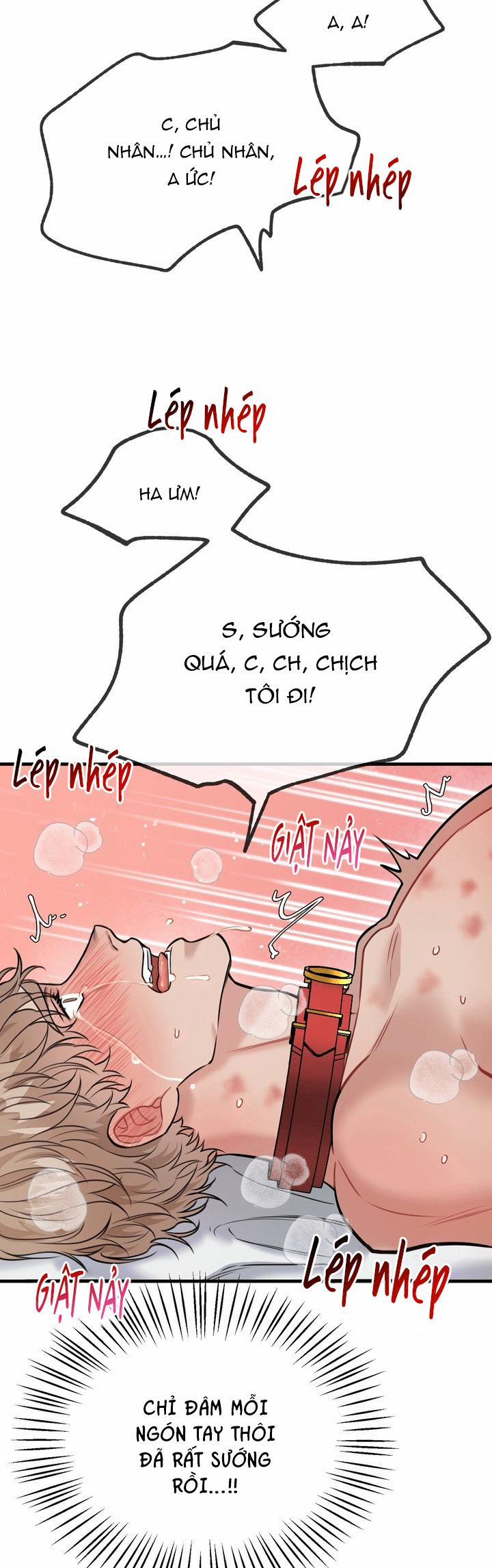 Hướng Dẫn Bdsm Cơ Bản 21 END SS1 trang 12