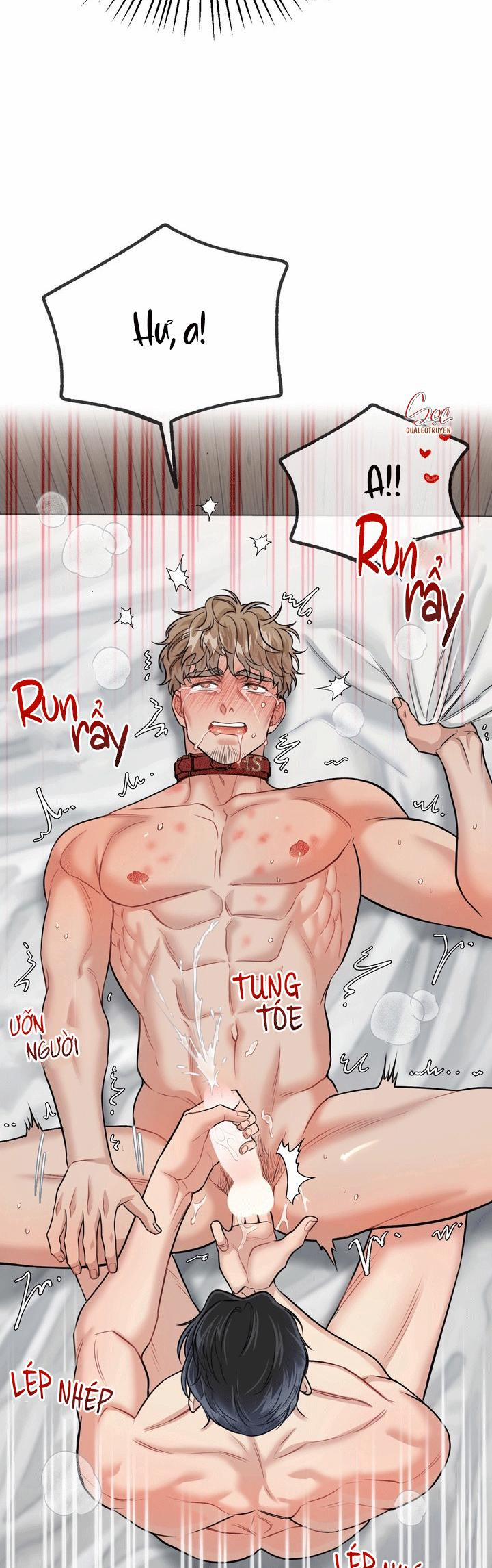 Hướng Dẫn Bdsm Cơ Bản 21 END SS1 trang 13