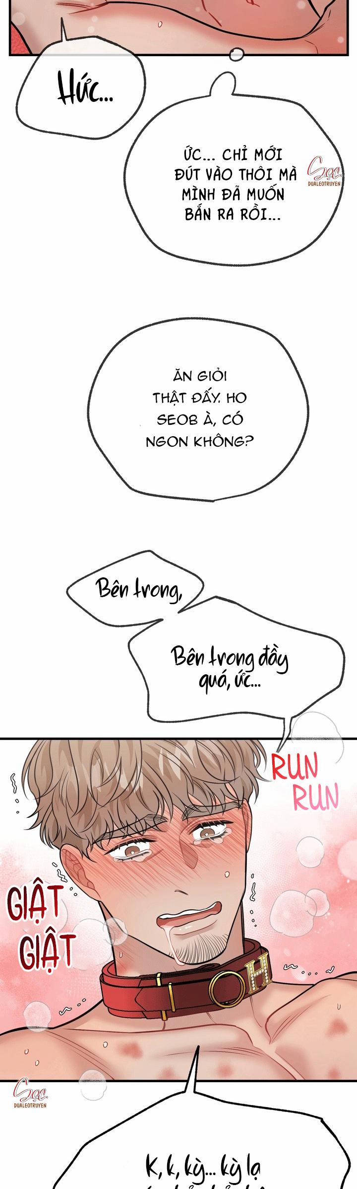 Hướng Dẫn Bdsm Cơ Bản 21 END SS1 trang 19