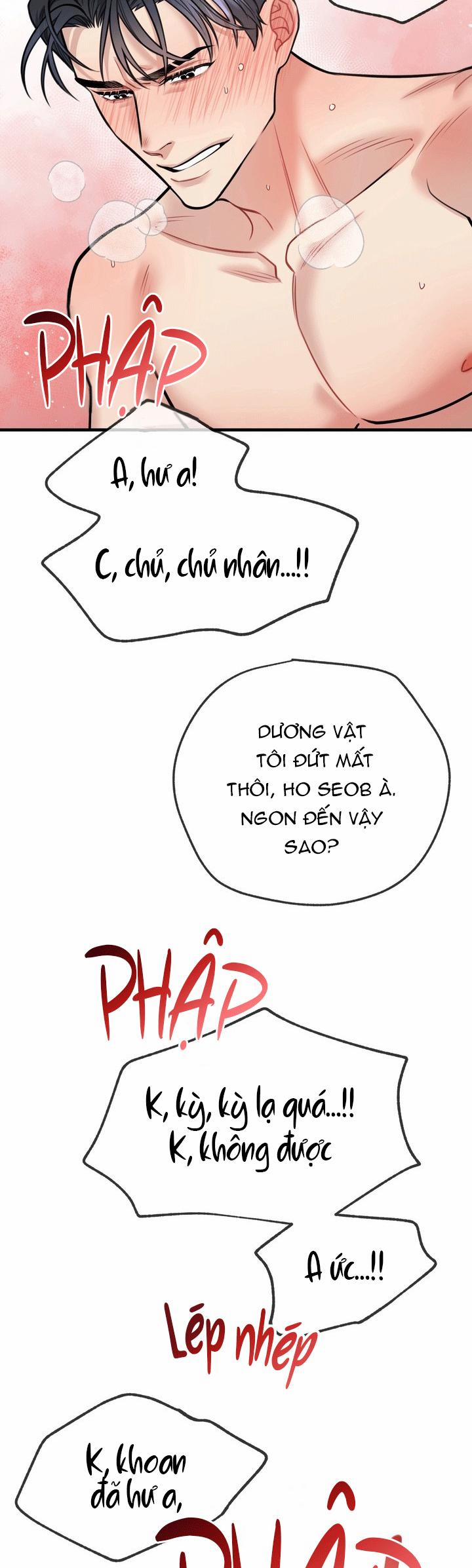 Hướng Dẫn Bdsm Cơ Bản 21 END SS1 trang 22