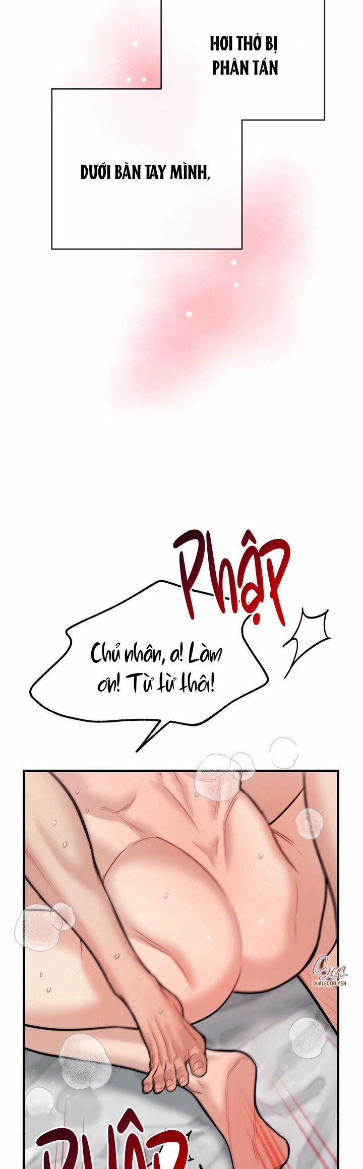 Hướng Dẫn Bdsm Cơ Bản 21 END SS1 trang 24