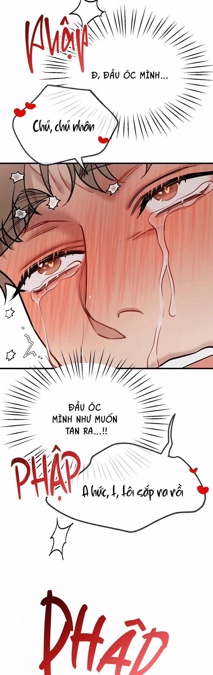 Hướng Dẫn Bdsm Cơ Bản 21 END SS1 trang 34