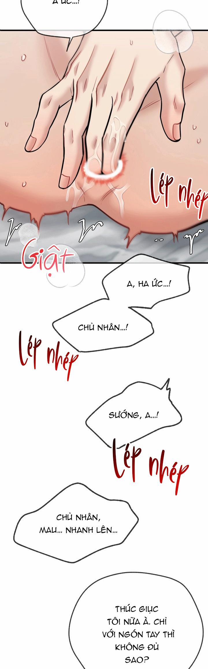 Hướng Dẫn Bdsm Cơ Bản 21 END SS1 trang 4