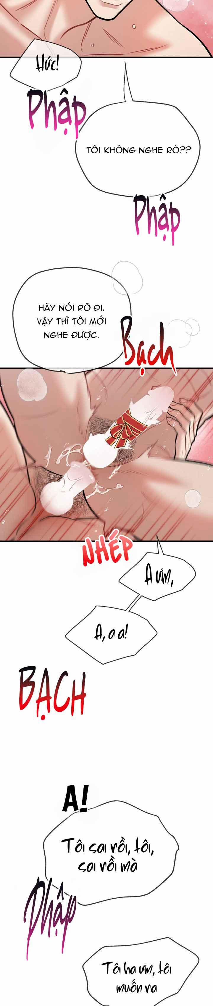 Hướng Dẫn Bdsm Cơ Bản 23 NT2 NOEL trang 24