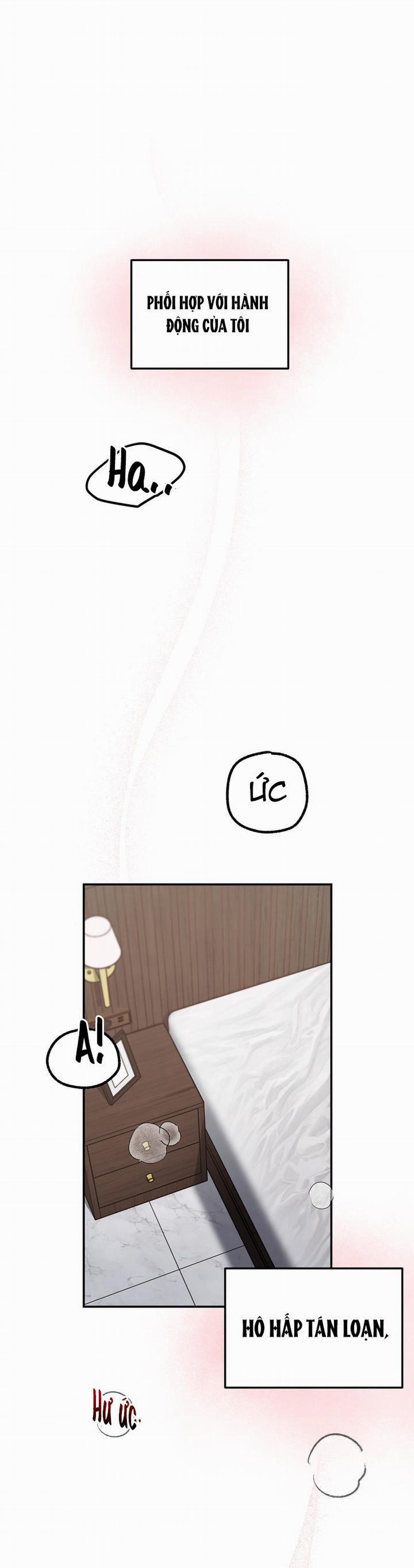 Hướng Dẫn Bdsm Cơ Bản 3 trang 0