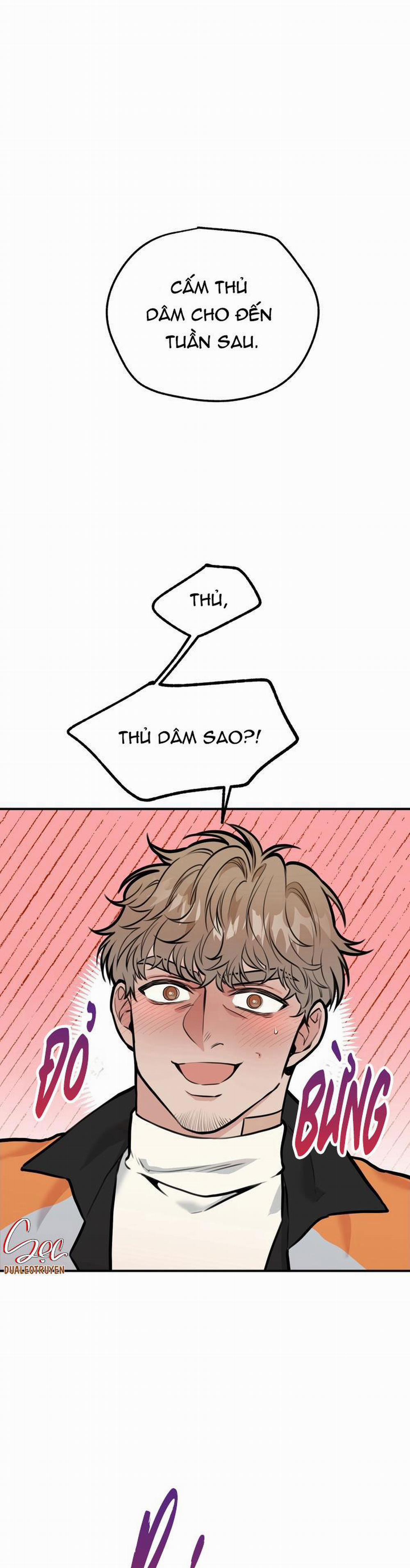 Hướng Dẫn Bdsm Cơ Bản 4 0 trang 0