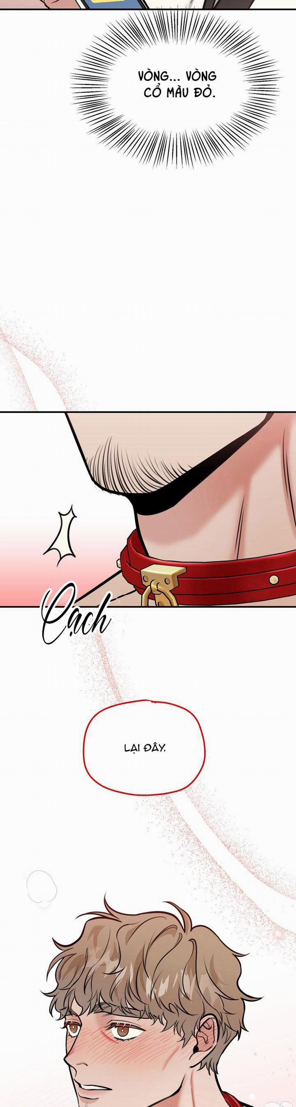 Hướng Dẫn Bdsm Cơ Bản 4 0 trang 22