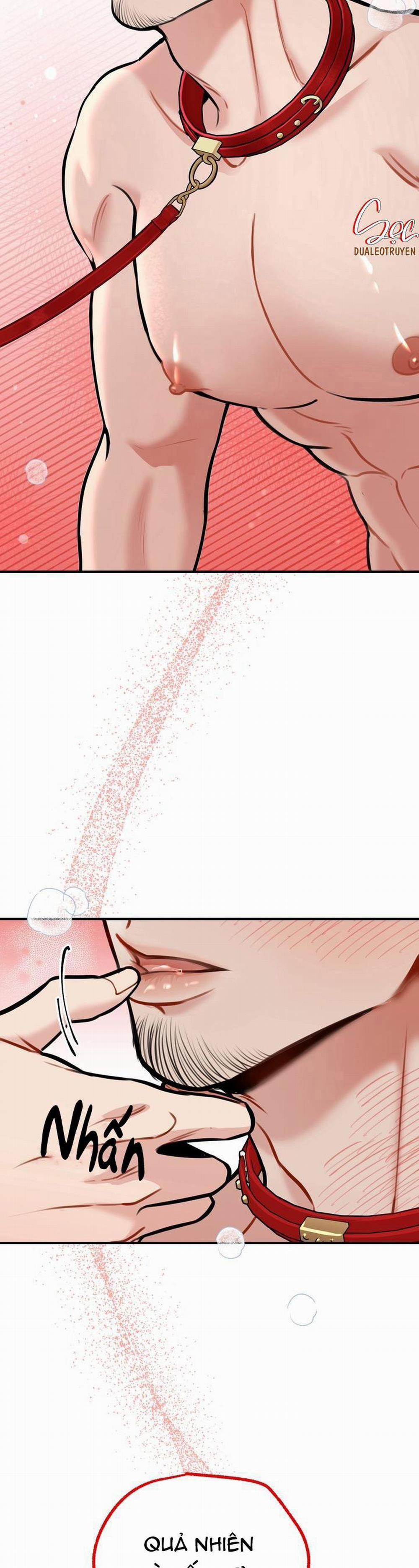 Hướng Dẫn Bdsm Cơ Bản 4 0 trang 23