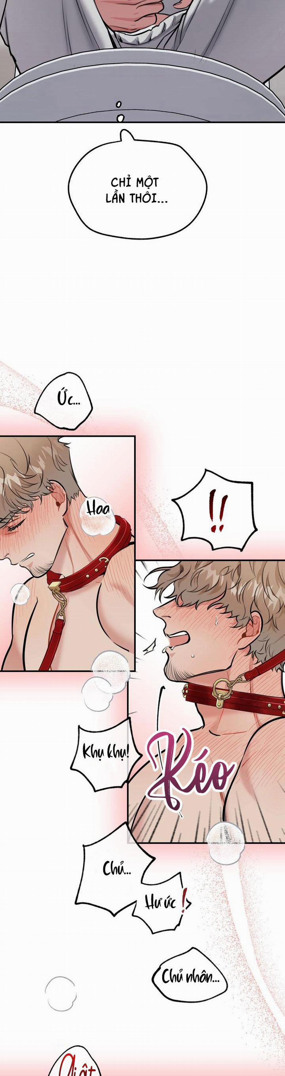 Hướng Dẫn Bdsm Cơ Bản 4 0 trang 26